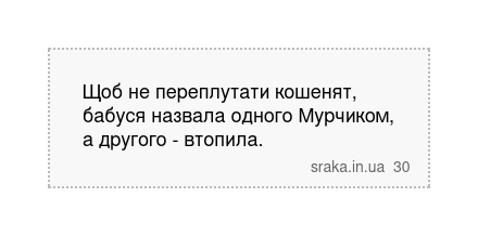 Щоб не переплутати кошенят, бабуся назвала одного Мурчиком, а другого - втопила. | Анекдоти українською | Срака