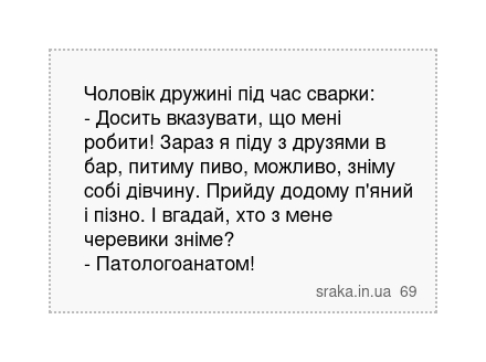 Чоловік дружині під час сварки: - Досить вказувати, що мені робити! Зараз я піду з друзями... | Анекдоти українською | Срака