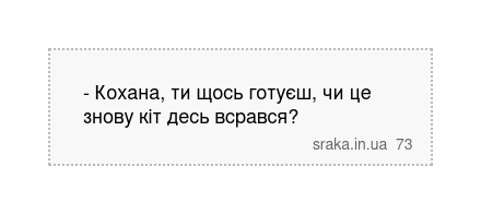 - Кохана, ти щось готуєш, чи це знову кіт десь всрався? | Анекдоти українською | Срака