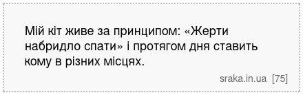 Мій кіт живе за принципом: «Жерти набридло спати» і протягом дня ставить кому в різних місцях. | Анекдоти українською | Срака