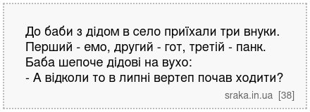До баби з дідом в село приїхали три внуки. Перший - емо, другий - гот, третій - панк. Баба шепоче дідові на вухо: - А відколи то в липні вертеп почав ходити? | Анекдоти українською | Срака