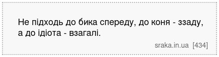 Не підходь до бика спереду, до коня - ззаду, а до ідіота - взагалі. | Анекдоти українською | Срака