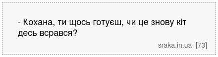 - Кохана, ти щось готуєш, чи це знову кіт десь всрався? | Анекдоти українською | Срака